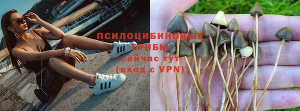 ГАЛЛЮЦИНОГЕННЫЕ ГРИБЫ Балабаново