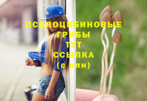 ГАЛЛЮЦИНОГЕННЫЕ ГРИБЫ Балабаново