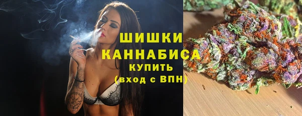 ГАЛЛЮЦИНОГЕННЫЕ ГРИБЫ Балабаново