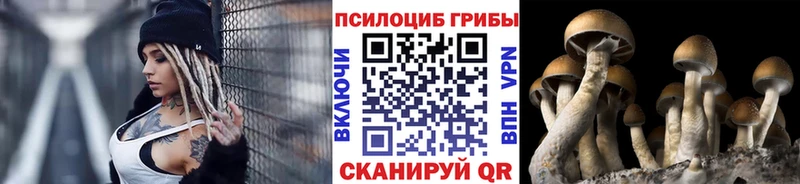 как найти закладки  Нытва  Галлюциногенные грибы прущие грибы 